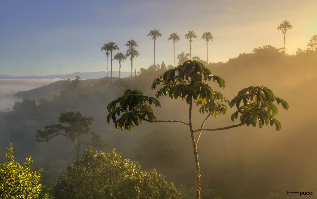 Costa Rica: Treasures of the South