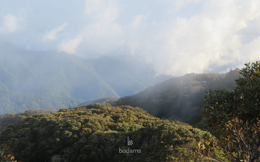 Costa Rica: Nature & Nurture
