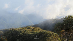 badams travel cr nn01