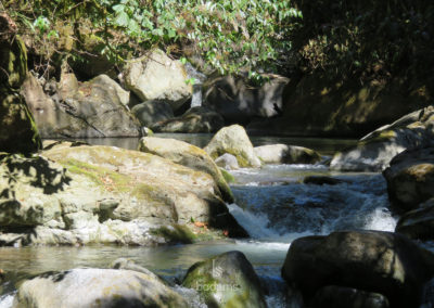 badams travel cr nn02