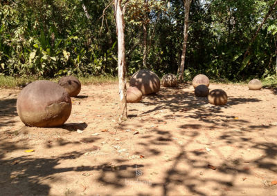 badams travel cr nn08