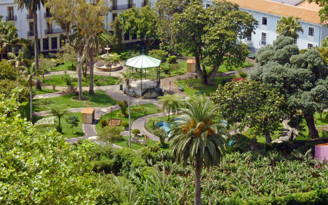 Azores:  Terceira & the Triangle Islands