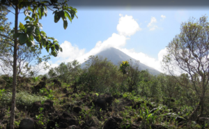 Screenshot 2021 10 13 at 14 24 35 Arenal 1968 Volcano View Trails La Fortuna de San Carlos 2021 All You Need to Know BE...