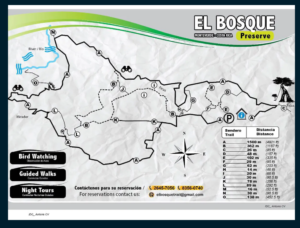 Screenshot 2021 11 08 at 12 43 36 Hotel El Bosque Monteverde Beautiful Eco lodge Costa Rica