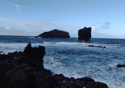 IMG 20221219 100322144