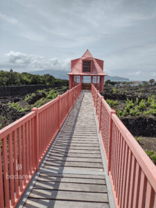 IMG 20230521 150114178 HDR