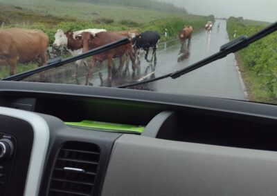 IMG 20230523 123007570