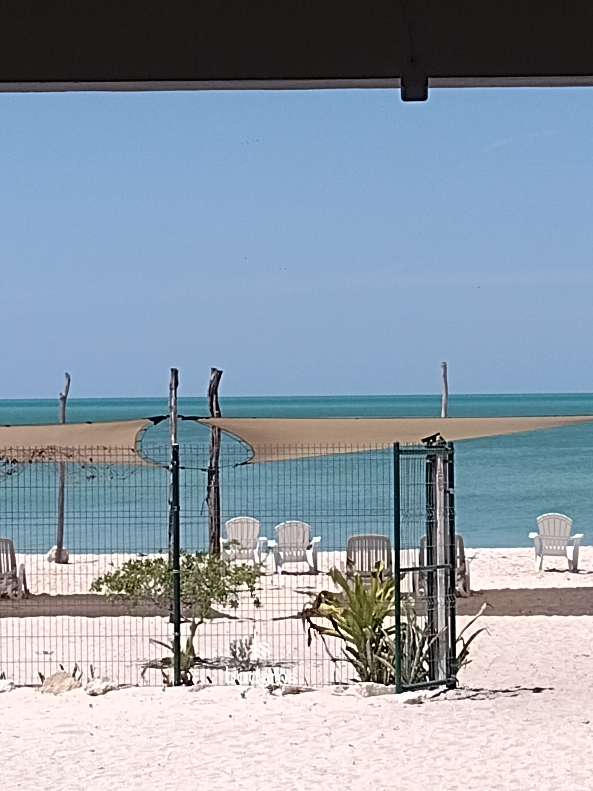 IMG 20240308 121022724 scaled