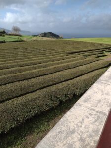 IMG 20221220 135102996