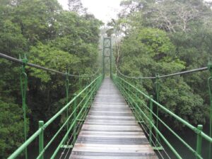 La Selva