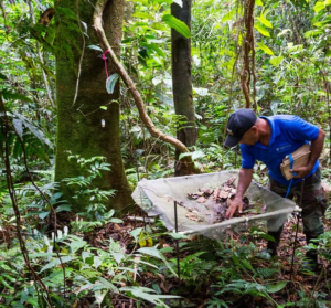 Screenshot 2025 03 24 at 11 58 57 La Selva Research Station Organization for Tropical Studies