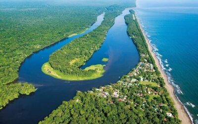 Costa Rica:  Flora and Fauna of the Northeast