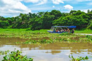 Palo Verde boat tour wetlands