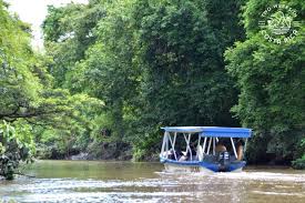 Palo verde boat tour up river
