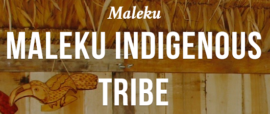 Screenshot at Maleku HOME