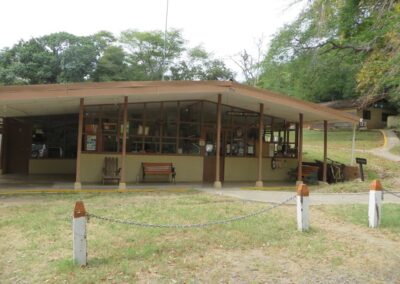 palo verde biological