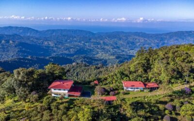 Costa Rica:  San Jose and Refugio San Antonio