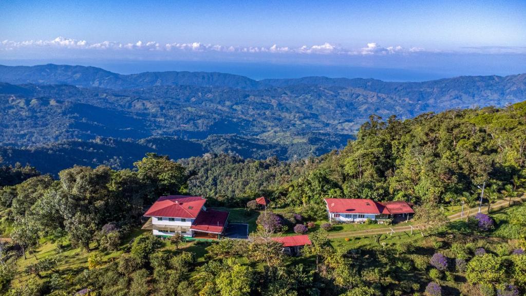 Costa Rica:  San Jose and Refugio San Antonio