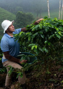 Screenshot 2026 03 02 at 14 01 25 About us – Cafeteria Don Emilio cafeteriadonemilio.com