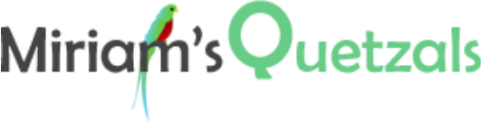 Screenshot at Miriam's Quetzals